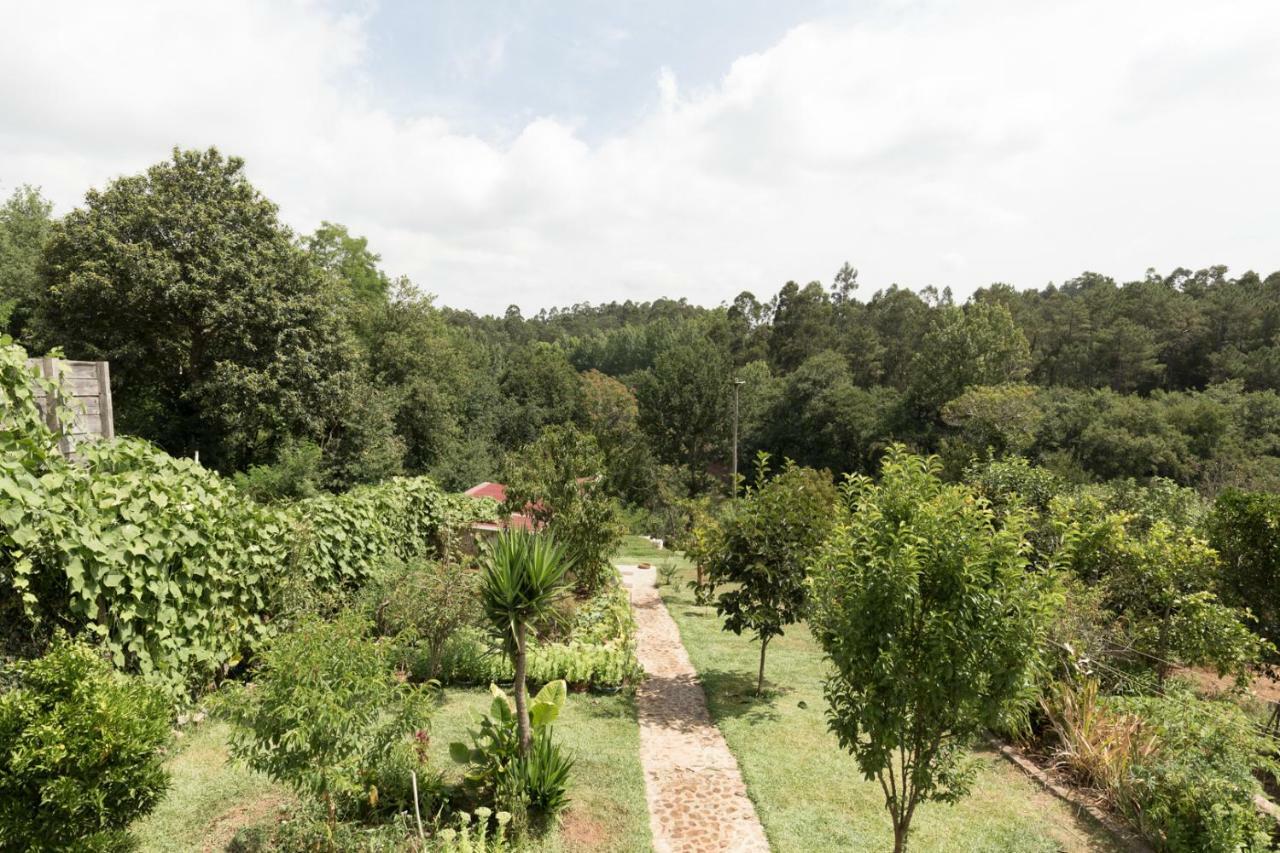 Casa Do Campo Al Hotel Caldas de Sao Jorge Buitenkant foto